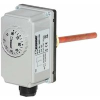 Esbe - Tauchthermostat TT-A100 Regelbereich 0 bis 90 °c mit Tauchhülse 1/2' 100mm 86901100 von ESBE