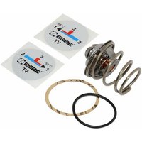 Esbe - kompl.Einsatz 55Gr.m.Dicht.17007400 von ESBE