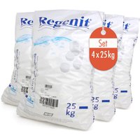 4x 25 kg Regenit® Siedesalztabletten von ESCO