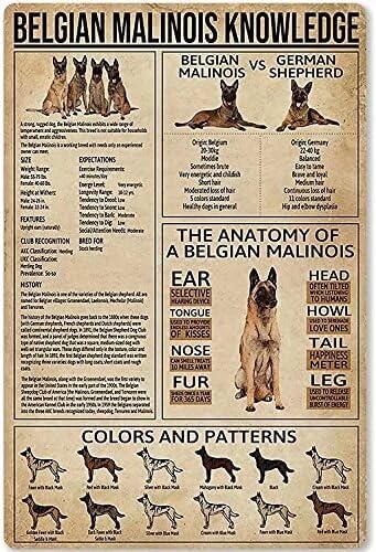 ESETASOT Home Signs For Home Decor Belgischer Malinois Wissensfarm Garten Garage Outdoor Bestes Geschenk Blechschild 30,5 x 20,3 cm ESETASOT Home Signs For Home Decor Belgischer Malinois Wissensfarm Garten Garage Outdoor Bestes Geschenk Blechschild 30,5 x 20,3 cm von ESETASOT