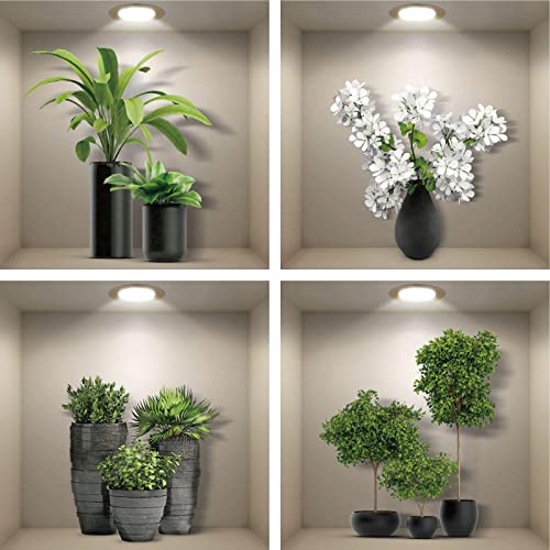 4er Set Wandtattoo 3D Effekt Vase - 3D Wandaufkleber Selbstklebend mit Blumen Grüne Pflanzen Baum Bonsai - Wandsticker Wandbild für Schlafzimmer Wohnzimmer Kinderzimmer Küche Büro 40x40cm von ESFIVHO