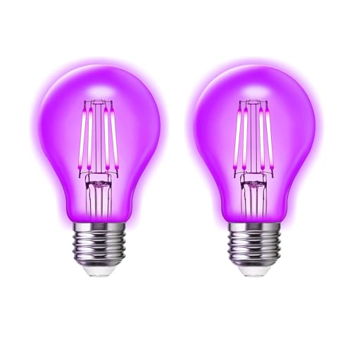 ESIP LED Lampe,E27 LED Lampen,A60 E27 4W 112LM LED Lamps, Entspricht 40W Glühbirne,300° Abstrahlwinkel Energiesparlampe,E27 LED Lampe,Dekorative Glühbirnen,LED-Leuchtmittel,2 Stück von ESIP