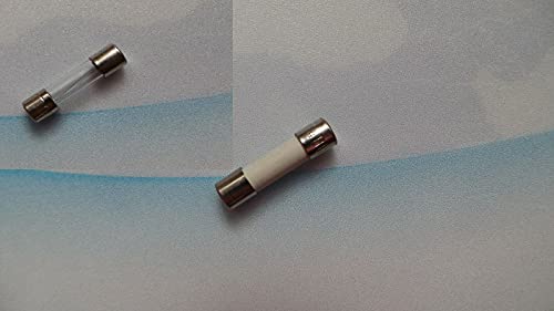20 Stück ESKA G-Sicherungseinsatz Feinsicherung F 10A 5x20mm 520.027 flink (F) Glasrohr mit Löschmittel von ESKA