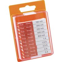 ESKA 120.950 120950 Feinsicherung-Sortiment (Ø x L) 5mm x 20mm Flink -F- Inhalt 100St. von ESKA