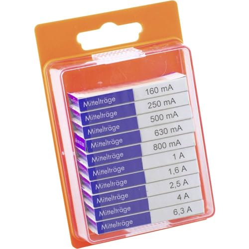 ESKA 121.0.8 12108 Feinsicherung-Sortiment (Ø x L) 5 mm x 20 mm Mittelträge -mT- Inhalt 100 St. von ESKA