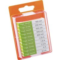 ESKA 122.850 122850 Feinsicherung-Sortiment (Ø x L) 5mm x 20mm Träge -T- Inhalt 100St. von ESKA
