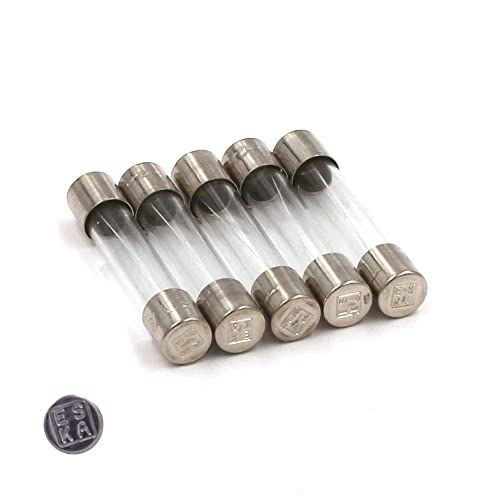 ESKA 5 x Sicherung (T) selbstschließend Glas 250 mA/250 VAC 6.3 x 32 mm von ESKA