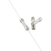 ESKA 520520 520520 Feinsicherung (Ø x L) 5mm x 20mm 2A 250V Flink -F- Inhalt 1000St. von ESKA