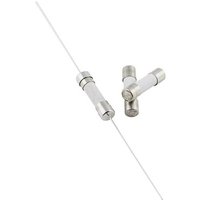ESKA 522714 522714 Feinsicherung (Ø x L) 5mm x 20mm 0.5A 250V Träge -T- Inhalt 1000St. von ESKA
