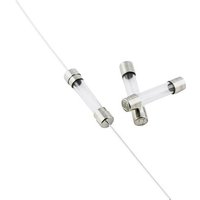 ESKA 525612 525612 Feinsicherung (Ø x L) 5mm x 25mm 0.315A 250V Flink -F- Inhalt 500St. von ESKA