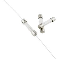 ESKA 525622 525622 Feinsicherung (Ø x L) 5mm x 25mm 3.15A 250V Flink -F- Inhalt 500St. von ESKA