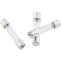 ESKA 528014 528014 Feinsicherung (Ø x L) 5mm x 25mm 0.5A 250V Mittelträge -mT- Inhalt 200St. von ESKA