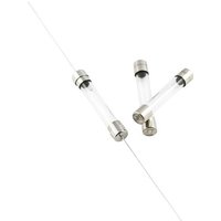 ESKA 530613 530613 Feinsicherung (Ø x L) 5mm x 30mm 0.4A 500V Flink -F- Inhalt 500St. von ESKA