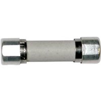 ESKA 8522714 8522714 Feinsicherung (Ø x L) 5mm x 20mm 0.5A 250V Träge -T- Inhalt von ESKA