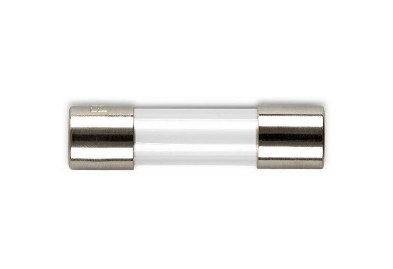 ESKA Zylindersicherungshalter ESKA 522514, Feinsicherung 5x20mm, träge, T 500 mA, 10 Stück von ESKA