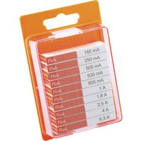 120.0.9 12009 Feinsicherung-Sortiment (ø x l) 5 mm x 20 mm Flink -f- Inhalt 100 St. - Eska von ESKA