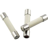 Eska - 528.17 52817 Feinsicherung (ø x l) 5 mm x 25 mm 1 a 250 v Mittelträge -mT- Inhalt 10 St. von ESKA