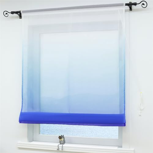ESLIR Raffrollo Voile Raffgardine Tunnelzug Farbverlauf Gardinen Küche Transparent Bändchenrollo Vorhänge Modern Blau BxH 80x140cm 1 Stück ESLIR Raffrollo Voile Raffgardine Tunnelzug Farbverlauf Gardinen Küche Transparent Bändchenrollo Vorhänge Modern Blau BxH 80x140cm 1 Stück von ESLIR
