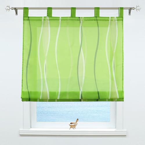 ESLIR Raffrollo mit Schlaufen Gardinen Küche Raffgardinen Modern Schlaufengardinen Vorhänge Transparent Voile Grün BxH 100x140cm 1 Stück von ESLIR