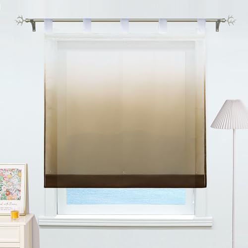 ESLIR Raffrollo mit Schlaufen Gardinen Küche Raffgardinen Transparent Schlaufenrollo Vorhänge Farbverlauf Voile Braun BxH 100x140cm 1 Stück von ESLIR