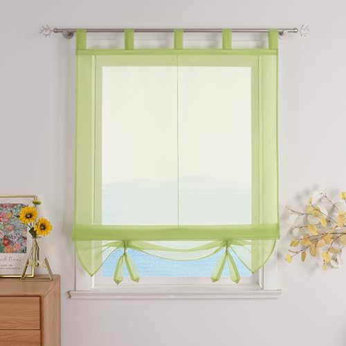 ESLIR Raffrollo mit Schlaufen Gardinen Küche Raffgardinen Transparent Schlaufenrollo Vorhänge Modern Voile Grün BxH 100x155cm 1 Stück von ESLIR