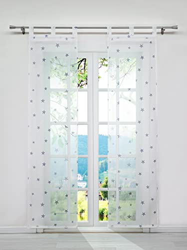 ESLIR Schiebegardinen Set 2er Flächenvorhänge Gardinen mit Schlaufen Schiebevorhang Transparent Schlaufenschal mit Sterne Muster Voile Modern Grau BxH 57x145cm 2 Stück von ESLIR