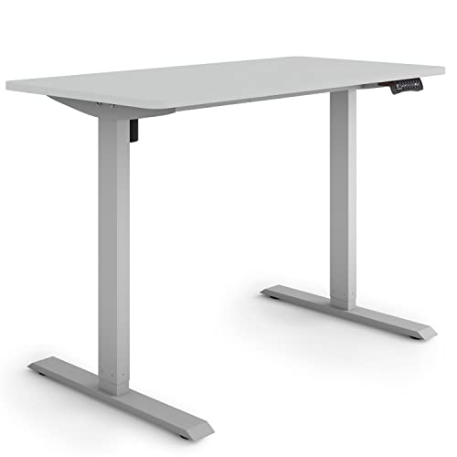 ESMART Germany ETX-121GG 120x60cm Hellgrau Ergonomischer Steh-Sitz-Schreibtisch Stufenlos elektrisch höhenverstellbar 73,5-123,5cm 3X Memory Aktivitätserinnerung Soft-Start/Stopp Schnelle Montage von ESMART
