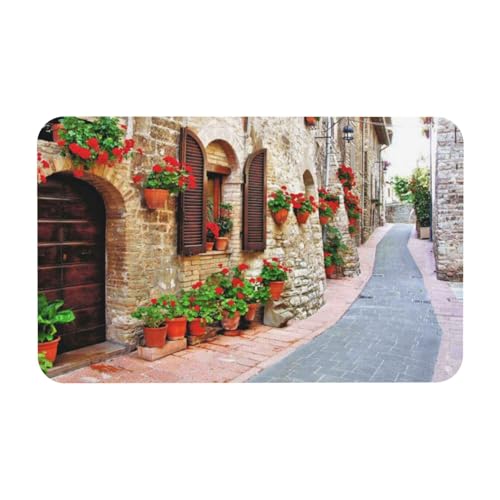 ESNAIUVCD Rural Street rutschfeste Badematte, 50 x 80 cm, super saugfähig, schnell trocknend, leicht zu reinigen, Badezimmer-Zubehör, Dekor ESNAIUVCD Rural Street rutschfeste Badematte, 50 x 80 cm, super saugfähig, schnell trocknend, leicht zu reinigen, Badezimmer-Zubehör, Dekor von ESNAIUVCD