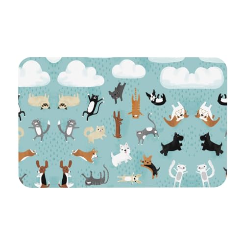 ESNAIUVCD Rutschfeste Badematte mit Motiv "Raining Cats & Dogs", 50 x 80 cm, super saugfähig, schnell trocknend, leicht zu reinigen, Badezimmerzubehör, Dekor ESNAIUVCD Rutschfeste Badematte mit Motiv "Raining Cats & Dogs", 50 x 80 cm, super saugfähig, schnell trocknend, leicht zu reinigen, Badezimmerzubehör, Dekor von ESNAIUVCD