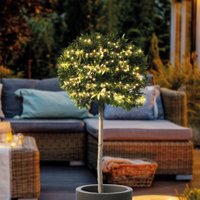Esotec - Solar Cluster-Lichterkette mit 200 micro LEDs Draht wetterfest 102581 von ESOTEC