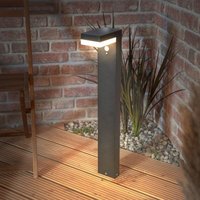 Esotec - Solar Wegeleuchte Nala mit Bewegungsmelder 70cm wetterfest IP44 102932 von ESOTEC