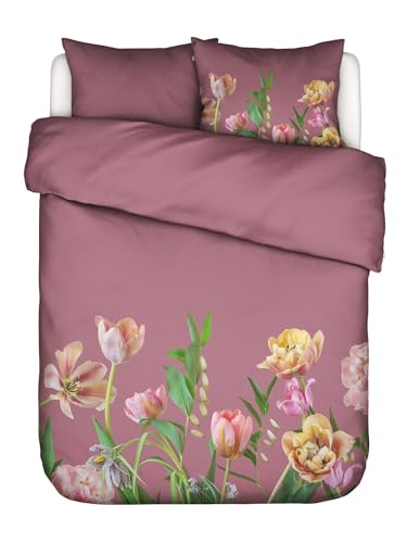 ESSENZA Bettwäsche Eloise Mauve, 200x200 + 2X 80x80 cm - 100% Bio-Baumwollsatin 215TC - Blumen ESSENZA Bettwäsche Eloise Mauve, 200x200 + 2X 80x80 cm - 100% Bio-Baumwollsatin 215TC - Blumen von ESSENZA