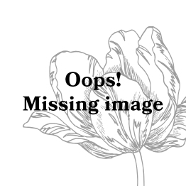 ESSENZA Minte Moss Spannbettlaken 80 x 200 cm ESSENZA Minte Moss Spannbettlaken 80 x 200 cm von ESSENZA