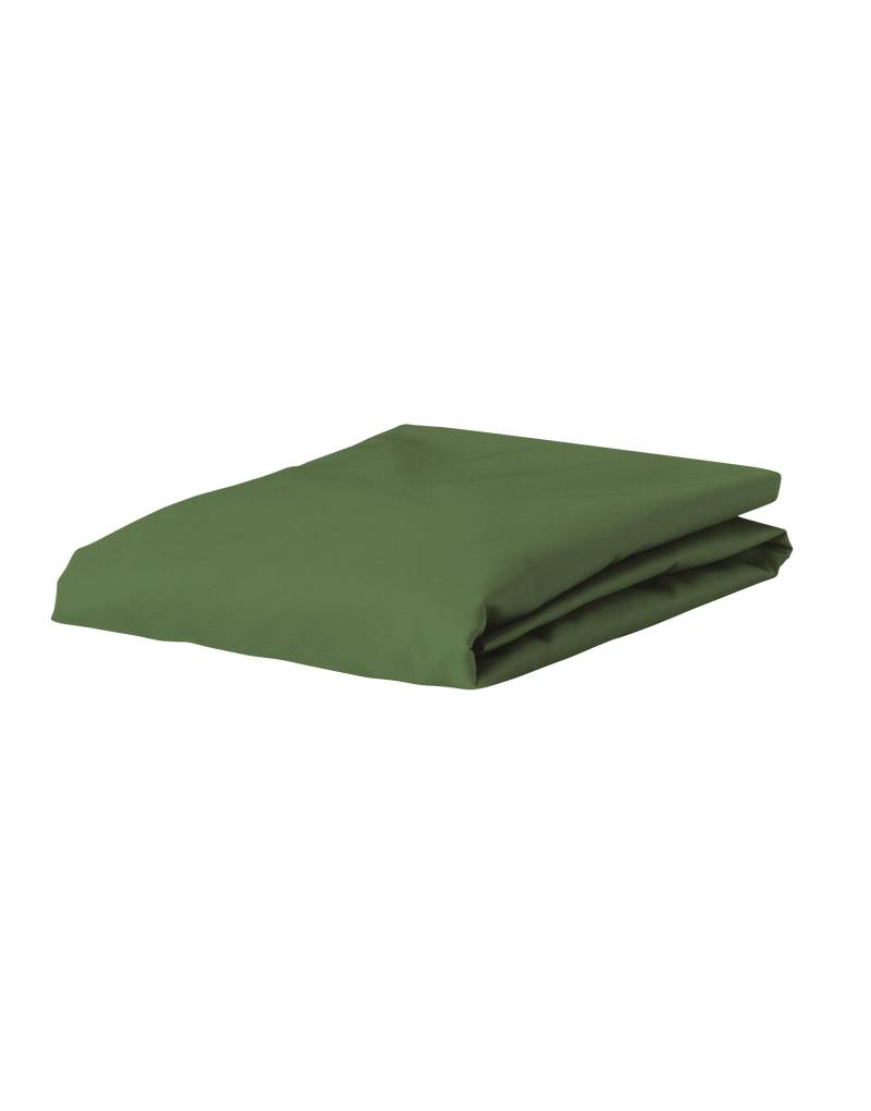 ESSENZA Premium Percale Moss Spannbettlaken 180 x 210 cm von ESSENZA