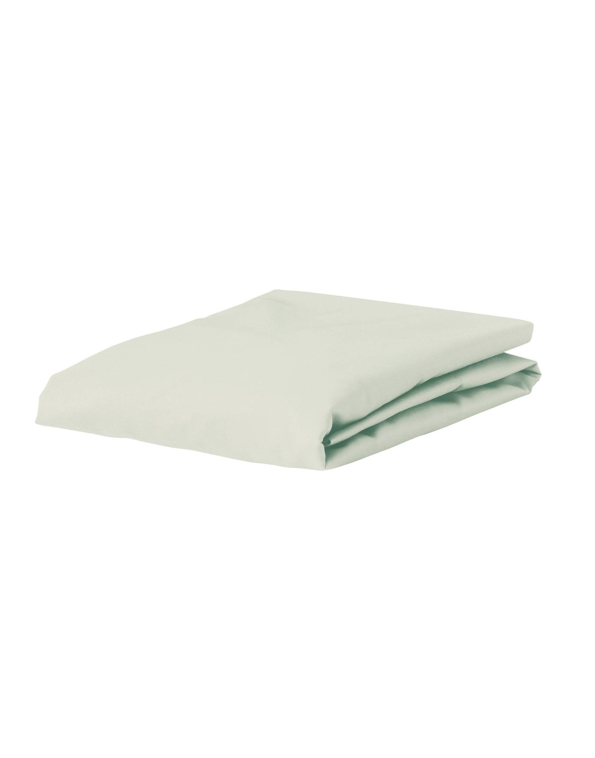 ESSENZA Premium Percale Oyster Spannbettlaken 80 x 200 cm von ESSENZA