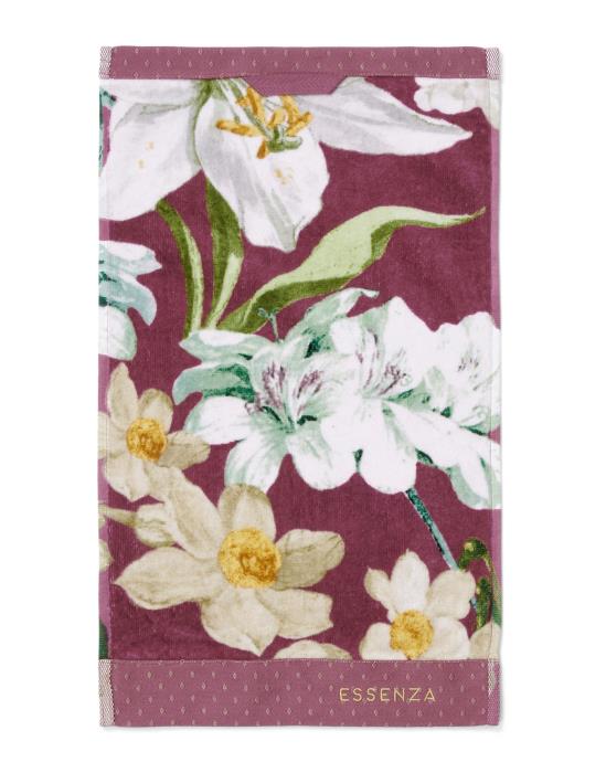 ESSENZA Rosalee Plum Gästetuch 30 x 50 cm ESSENZA Rosalee Plum Gästetuch 30 x 50 cm von ESSENZA