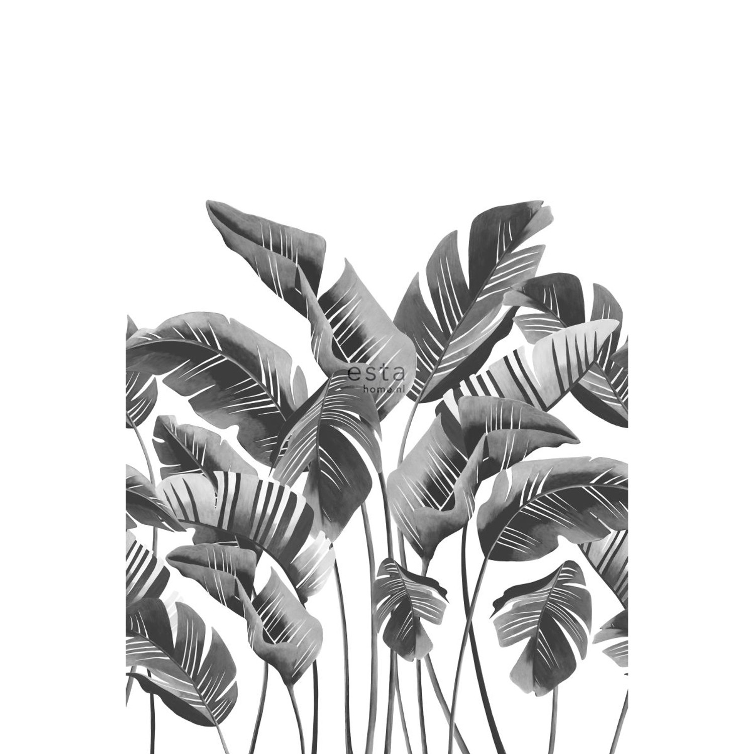 ESTAhome Fototapete Große Bananenblätter Schwarz-Weiß 200 x 279 cm 158907 von ESTAhome