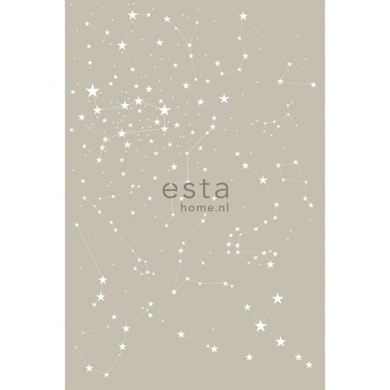 ESTAhome Fototapete Sternenklare Nacht Taupe 200 x 279 cm 158705 von ESTAhome