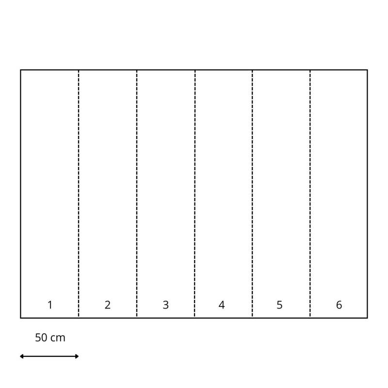 ESTAhome Fototapete Waldtiere Grün und Braun 3 x 2,79 m 159100 von ESTAhome