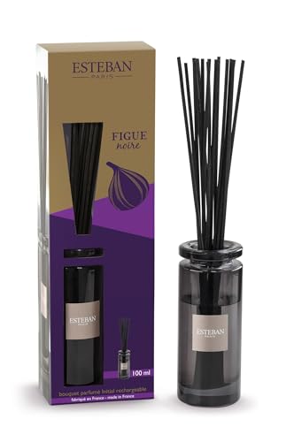 Esteban - Duftstrauß Initial + Nachfüllung 100 ml - Duft Figue Noire - Dauerhafte Kaltverdunstung - Unendlich wiederaufladbar - Schlichtes Design von ESTEBAN