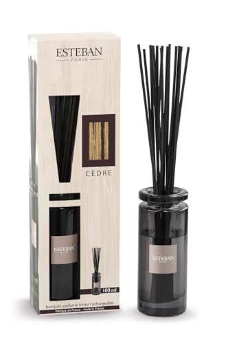 Esteban - Duftstrauß Initial + Nachfüllung 100 ml - Duft Zeder - Dauerhafte Kaltverdunstung - Unendlich wiederaufladbar - Schlichtes Design von Esteban
