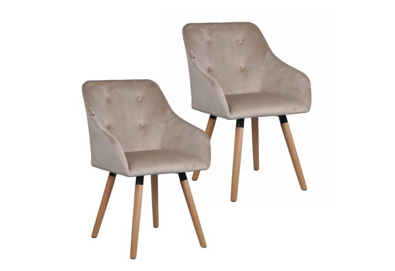 ESTEXO Esszimmerstuhl Küchenstuhl Stuhl 2er Set Vintage Essstuhl Stoff Beige/Grau Samt ESTEXO Esszimmerstuhl Küchenstuhl Stuhl 2er Set Vintage Essstuhl Stoff Beige/Grau Samt von ESTEXO