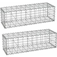 Estexo - Gabionen Steingabionen Steinkorb 100x30x30 cm 2er Set Draht Wand Korb Metall von ESTEXO