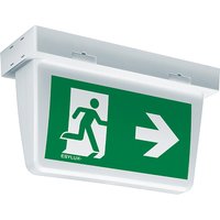 ESYLUX LED-Notleuchte ws 3h, f.AP-/Deckenmon. SLXELLED #EN10077357 von ESYLUX ESYLUX