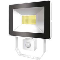 ESYLUX AFLBASICLED10W 4K WH EL10810923 LED-Außenstrahler 10W Weiß von ESYLUX