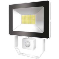 ESYLUX AFLBASICLED50W 3K WH EL10810886 LED-Außenstrahler 50W Weiß von ESYLUX