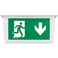 ESYLUX EN10077043 LED Fluchtweg-Notbeleuchtung Deckenmontage runter von ESYLUX
