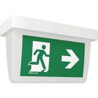 ESYLUX EN10077357 LED Fluchtweg-Notbeleuchtung rechts von ESYLUX