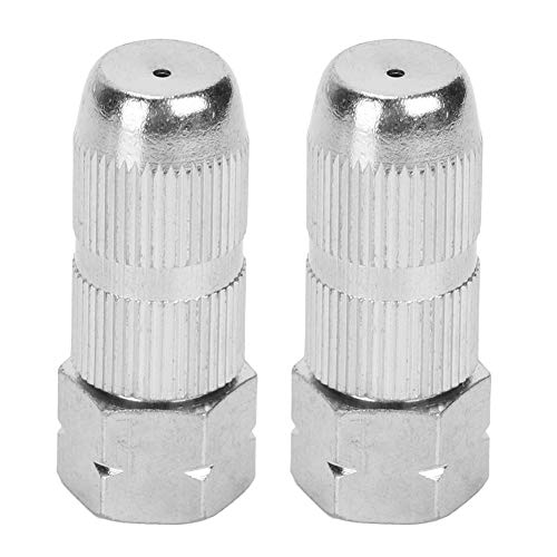 ETAINGYEUN Sprühdüse Hochdruck -Bewässerungsdüse Edelstahl 2X Sprühdüse Atomisation Sprayer Sprayer von ETAINGYEUN