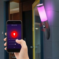 Außen Wand Leuchte App Sprachsteuerung Sensor Garten Lampe dimmbar im Set inkl. rgb led Leuchtmittel Außen Wand Leuchte App Sprachsteuerung Sensor Garten Lampe dimmbar im Set inkl. rgb led Leuchtmittel von ETC-SHOP